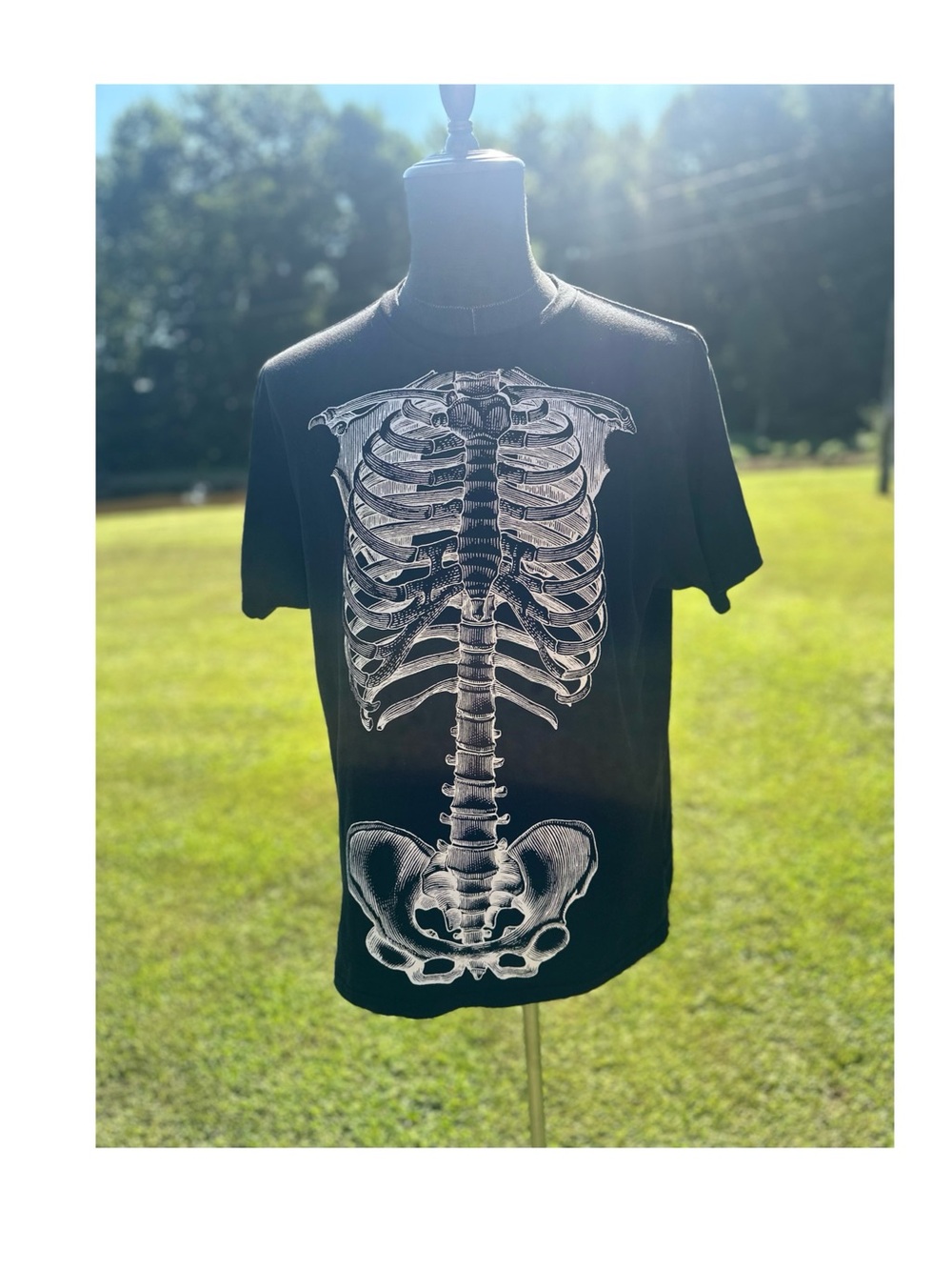 Way to Celebrate Black Skeleton Graphic Tee - Men's Casual Shirt Size XL